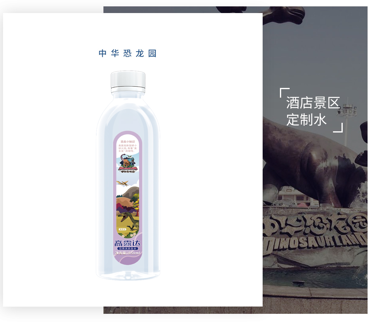 币游·国际(中国)官方网站