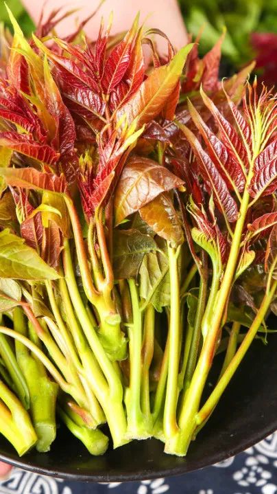 币游·国际(中国)官方网站